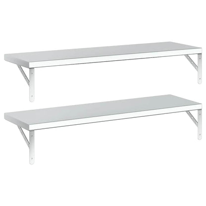 Wandschappen 2 St Roestvrijstaal Kleurig 100 x 30 cm Zilver