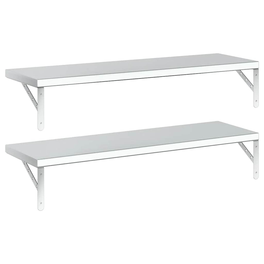 Wandschappen 2 St Roestvrijstaal Kleurig 100 x 30 cm Zilver
