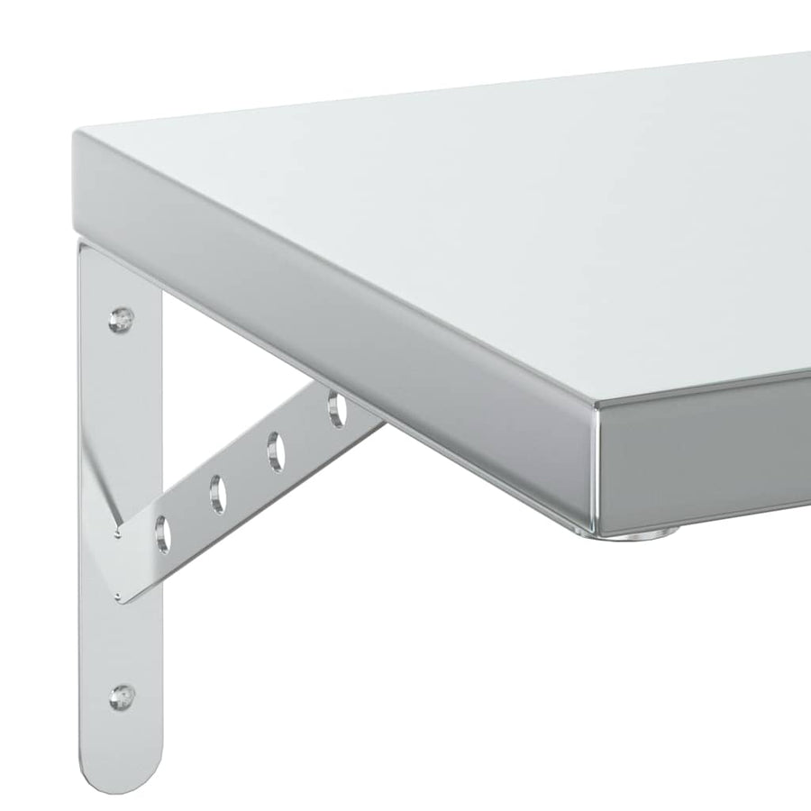 Wandschappen 2 St Roestvrijstaal Kleurig 100 x 30 cm Zilver