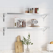 Wandschappen 2 st 100x23,5 cm roestvrijstaal zilver