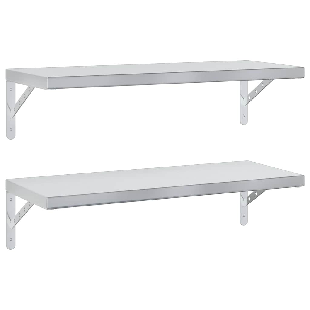 Wandschappen 2 St Roestvrijstaal Kleurig 75 x 30 cm Zilver