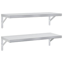 Wandschappen 2 St Roestvrijstaal Kleurig 75 x 30 cm Zilver