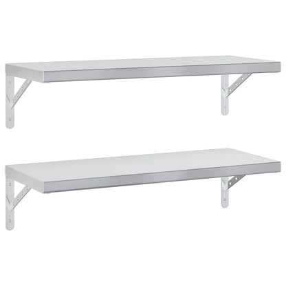 Wandschappen 2 St Roestvrijstaal Kleurig 75 x 30 cm Zilver