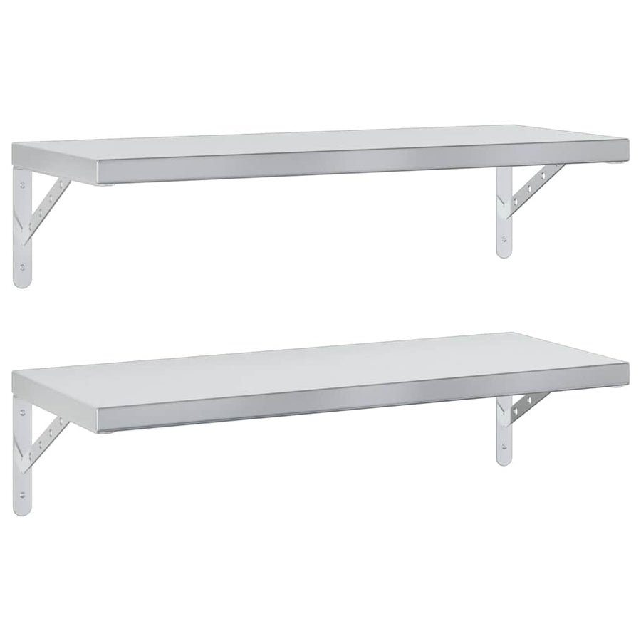 Wandschappen 2 St Roestvrijstaal Kleurig 75 x 30 cm Zilver