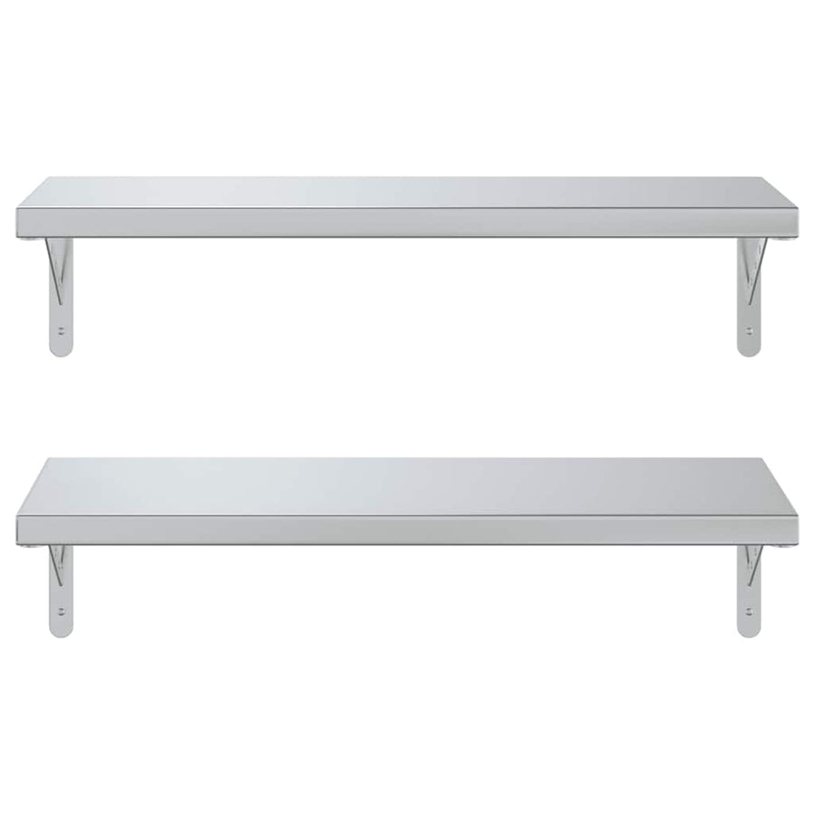 Wandschappen 2 St Roestvrijstaal Kleurig 75 x 30 cm Zilver
