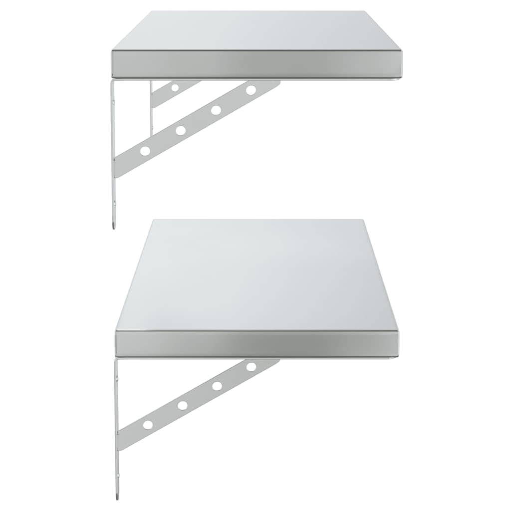 Wandschappen 2 St Roestvrijstaal Kleurig 75 x 30 cm Zilver