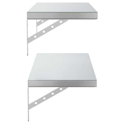 Wandschappen 2 St Roestvrijstaal Kleurig 75 x 30 cm Zilver