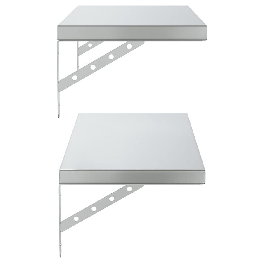 Wandschappen 2 St Roestvrijstaal Kleurig 75 x 30 cm Zilver