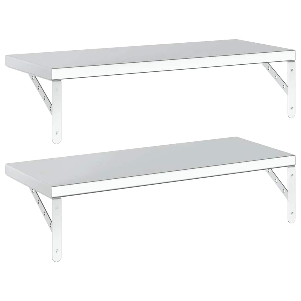 Wandschappen 2 St Roestvrijstaal Kleurig 75 x 30 cm Zilver