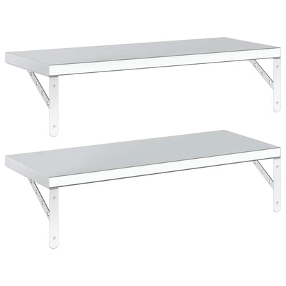 Wandschappen 2 St Roestvrijstaal Kleurig 75 x 30 cm Zilver