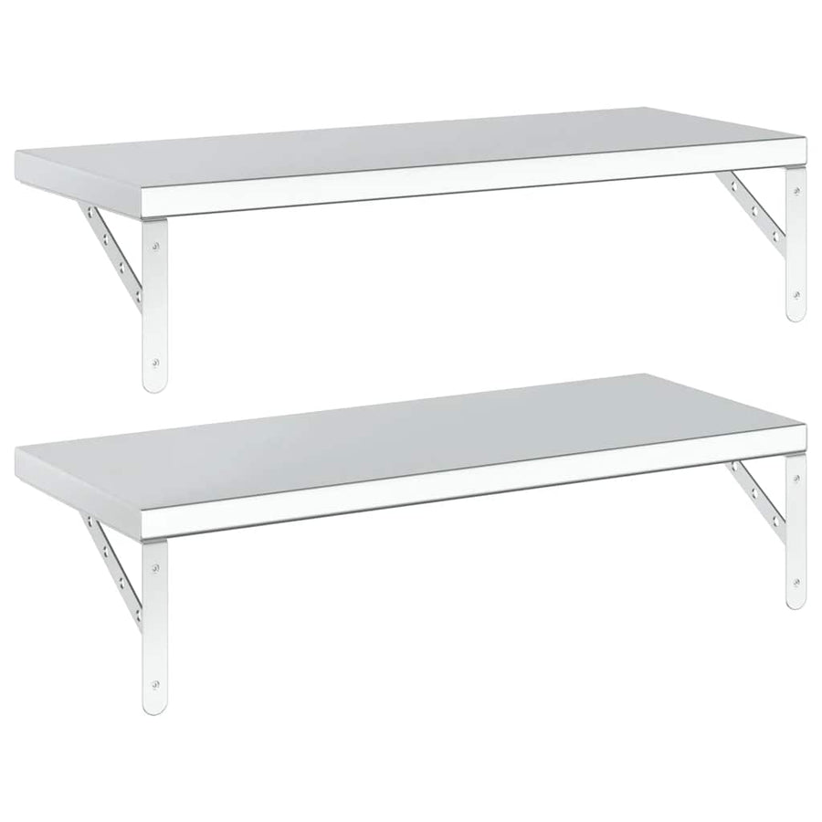 Wandschappen 2 St Roestvrijstaal Kleurig 75 x 30 cm Zilver