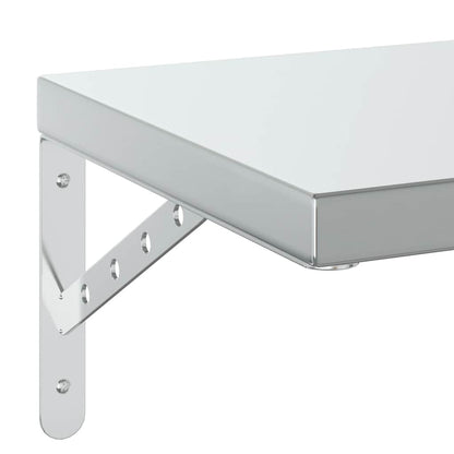 Wandschappen 2 St Roestvrijstaal Kleurig 75 x 30 cm Zilver