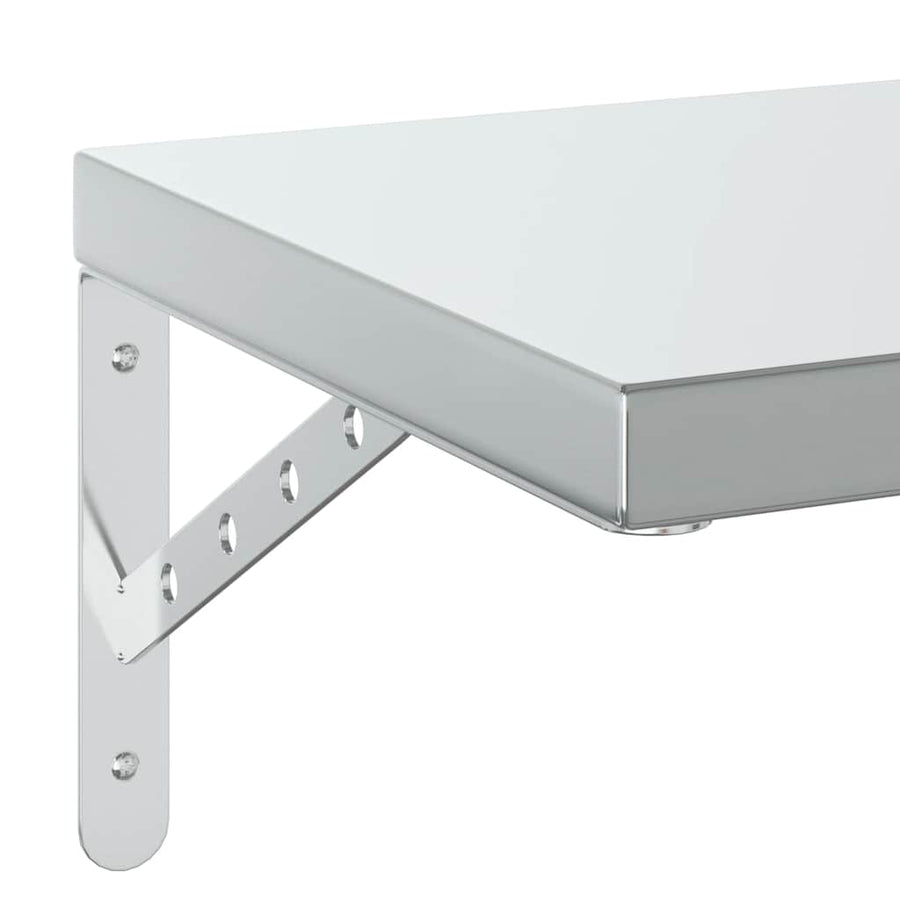 Wandschappen 2 St Roestvrijstaal Kleurig 75 x 30 cm Zilver