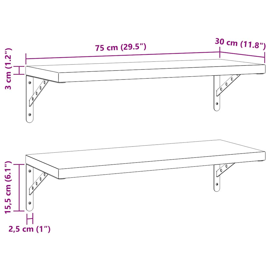 Wandschappen 2 St Roestvrijstaal Kleurig 75 x 30 cm Zilver