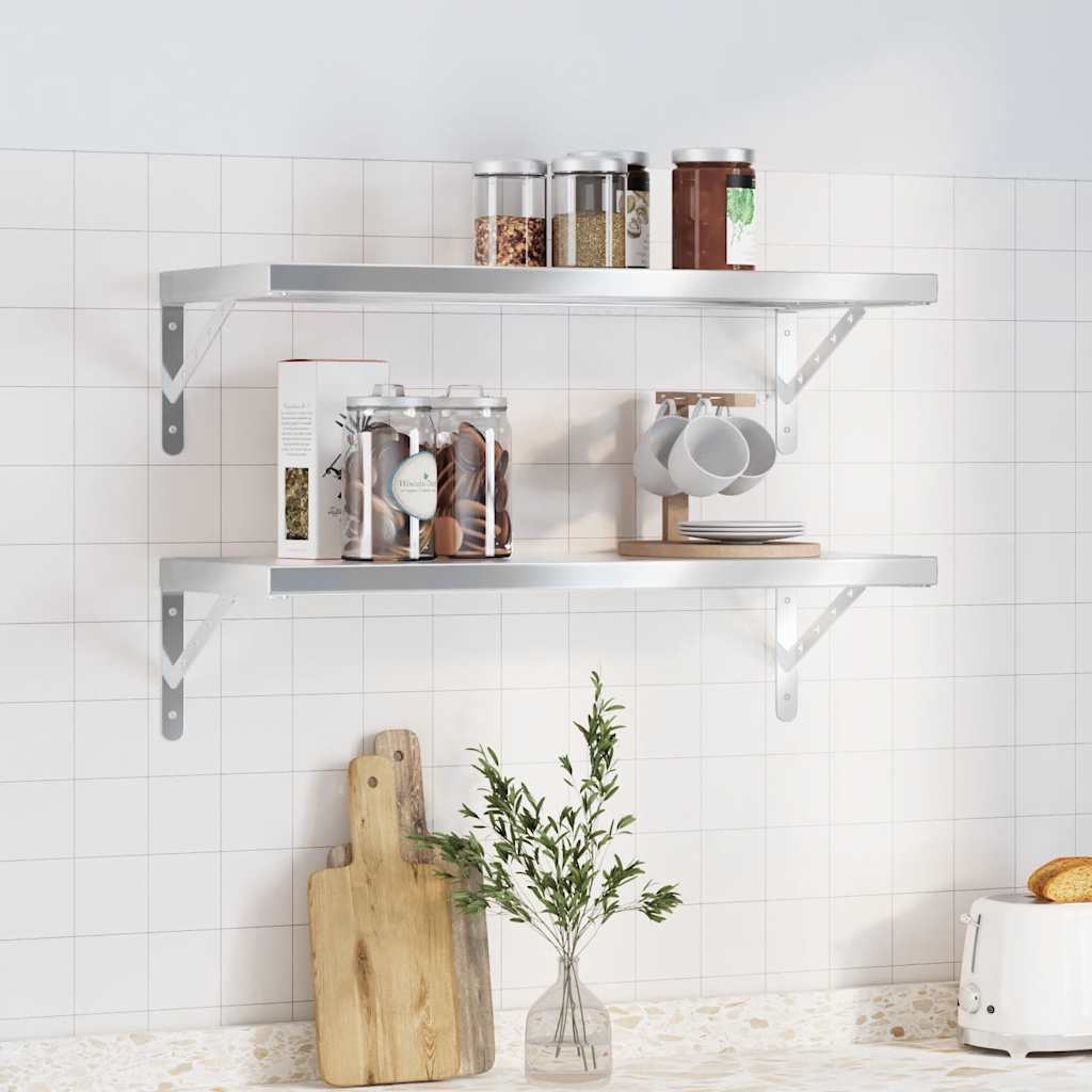 Wandschappen 2 St Roestvrijstaal Kleurig 75 x 30 cm Zilver