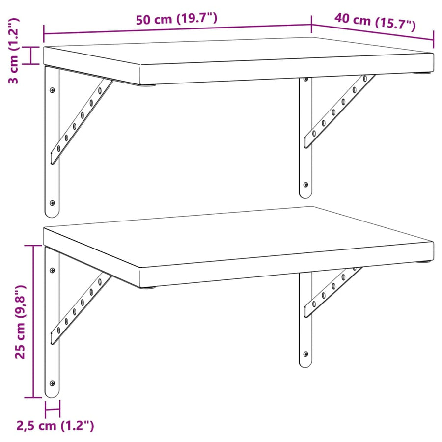 Wandschappen 2 st 50x40 cm roestvrijstaal zilverkleurig
