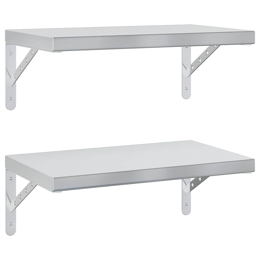 Wandschappen 2 St Roestvrijstaal Kleurig 50 x 30 cm Zilver