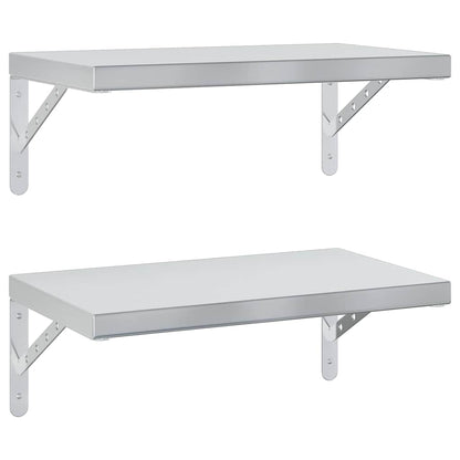 Wandschappen 2 St Roestvrijstaal Kleurig 50 x 30 cm Zilver
