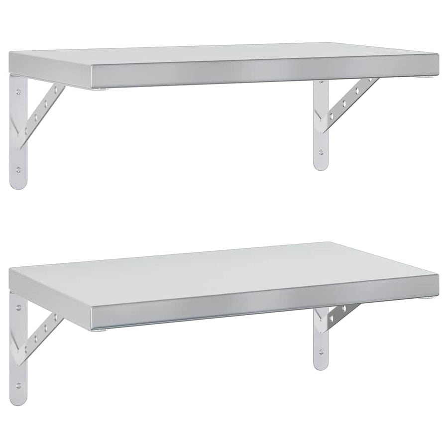 Wandschappen 2 St Roestvrijstaal Kleurig 50 x 30 cm Zilver