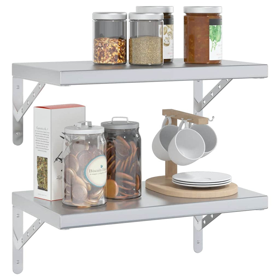 Wandschappen 2 St Roestvrijstaal Kleurig 50 x 30 cm Zilver