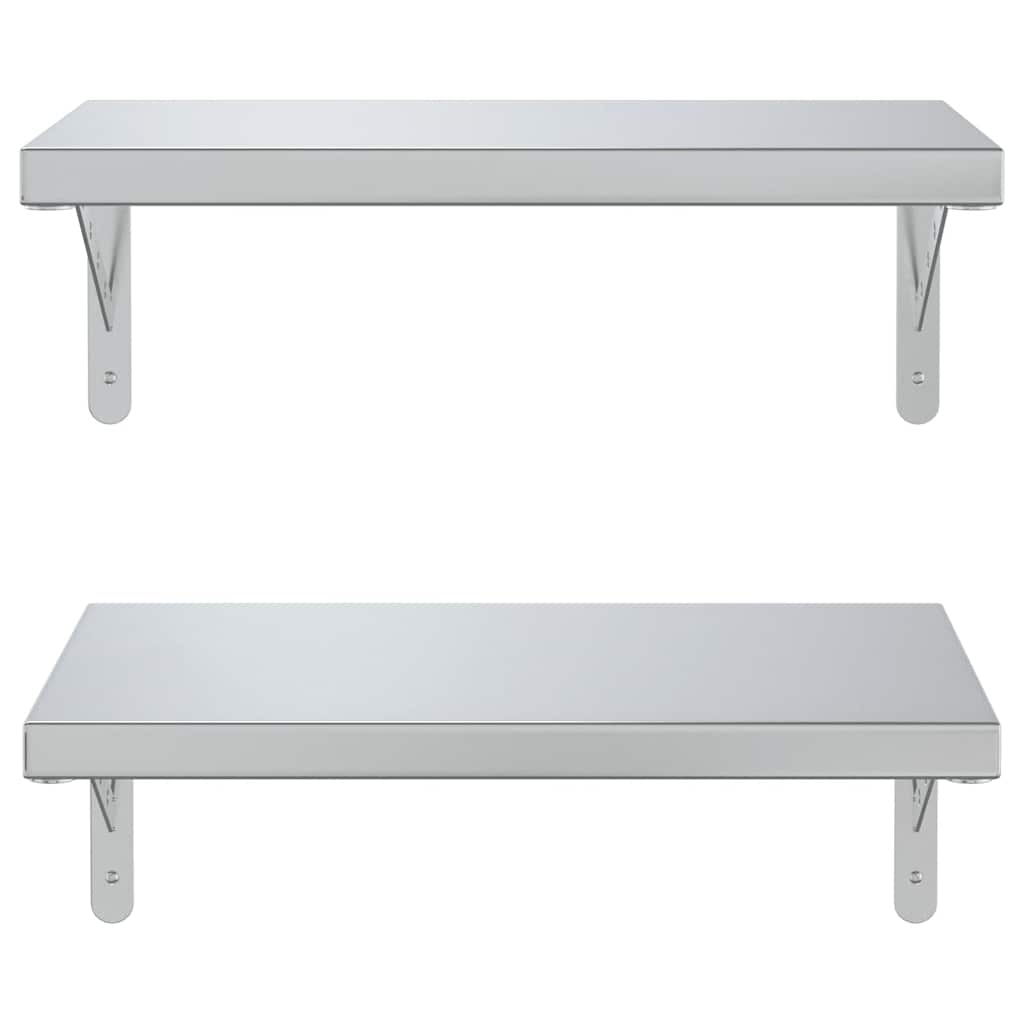 Wandschappen 2 St Roestvrijstaal Kleurig 50 x 30 cm Zilver