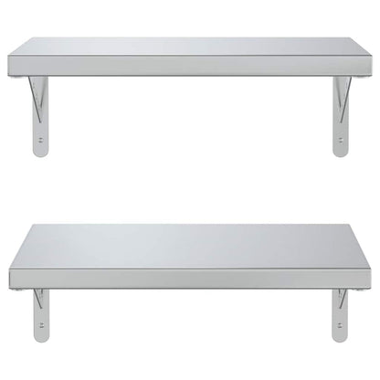 Wandschappen 2 St Roestvrijstaal Kleurig 50 x 30 cm Zilver