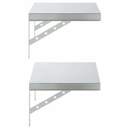 Wandschappen 2 St Roestvrijstaal Kleurig 50 x 30 cm Zilver