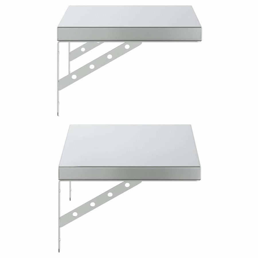 Wandschappen 2 St Roestvrijstaal Kleurig 50 x 30 cm Zilver