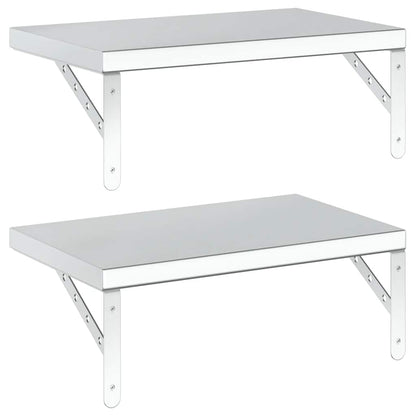 Wandschappen 2 St Roestvrijstaal Kleurig 50 x 30 cm Zilver