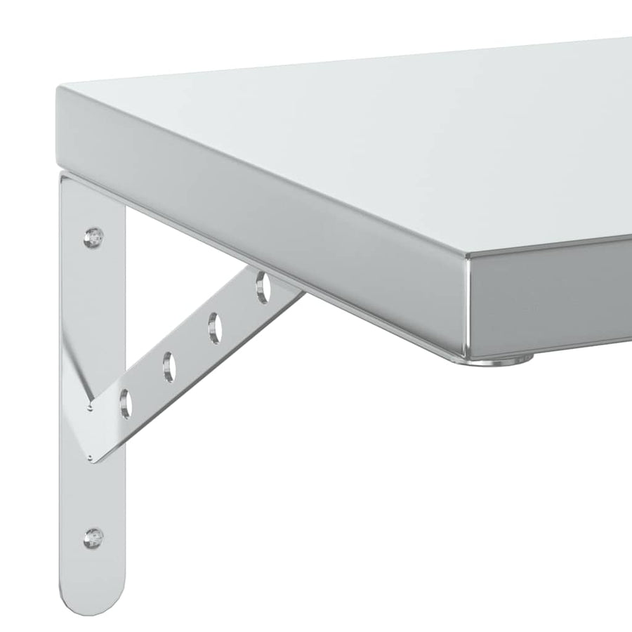 Wandschappen 2 St Roestvrijstaal Kleurig 50 x 30 cm Zilver