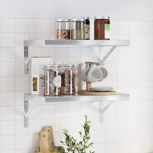 Wandschappen 2 St Roestvrijstaal Kleurig 50 x 30 cm Zilver