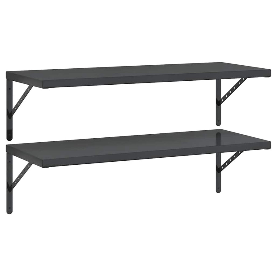 Wandschappen 2 St Roestvrijstaal 100 x 40 cm Zwart
