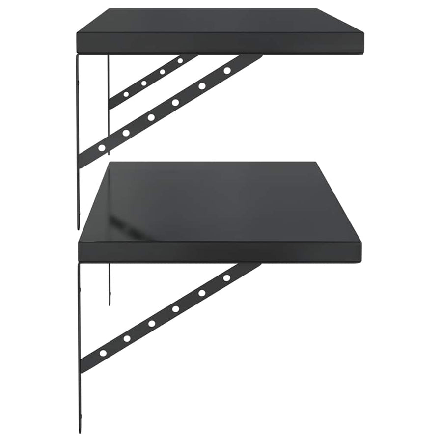 Wandschappen 2 St Roestvrijstaal 100 x 40 cm Zwart