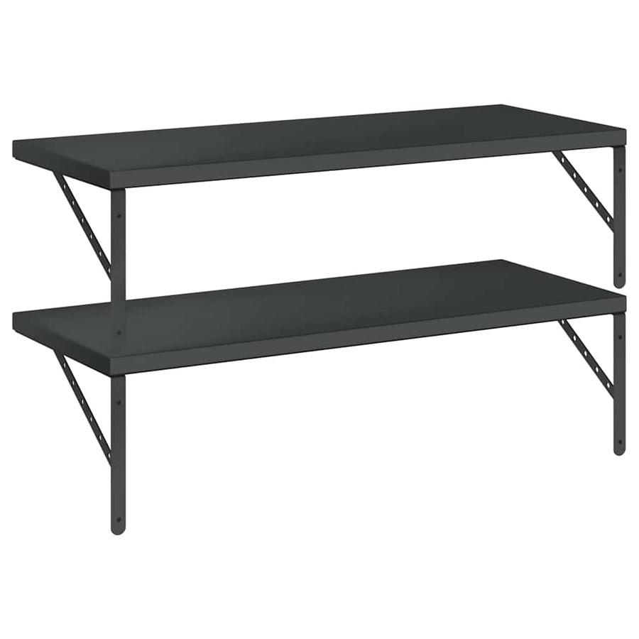 Wandschappen 2 St Roestvrijstaal 100 x 40 cm Zwart