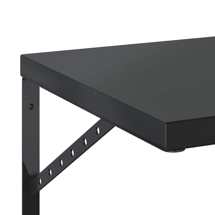 Wandschappen 2 St Roestvrijstaal 100 x 40 cm Zwart