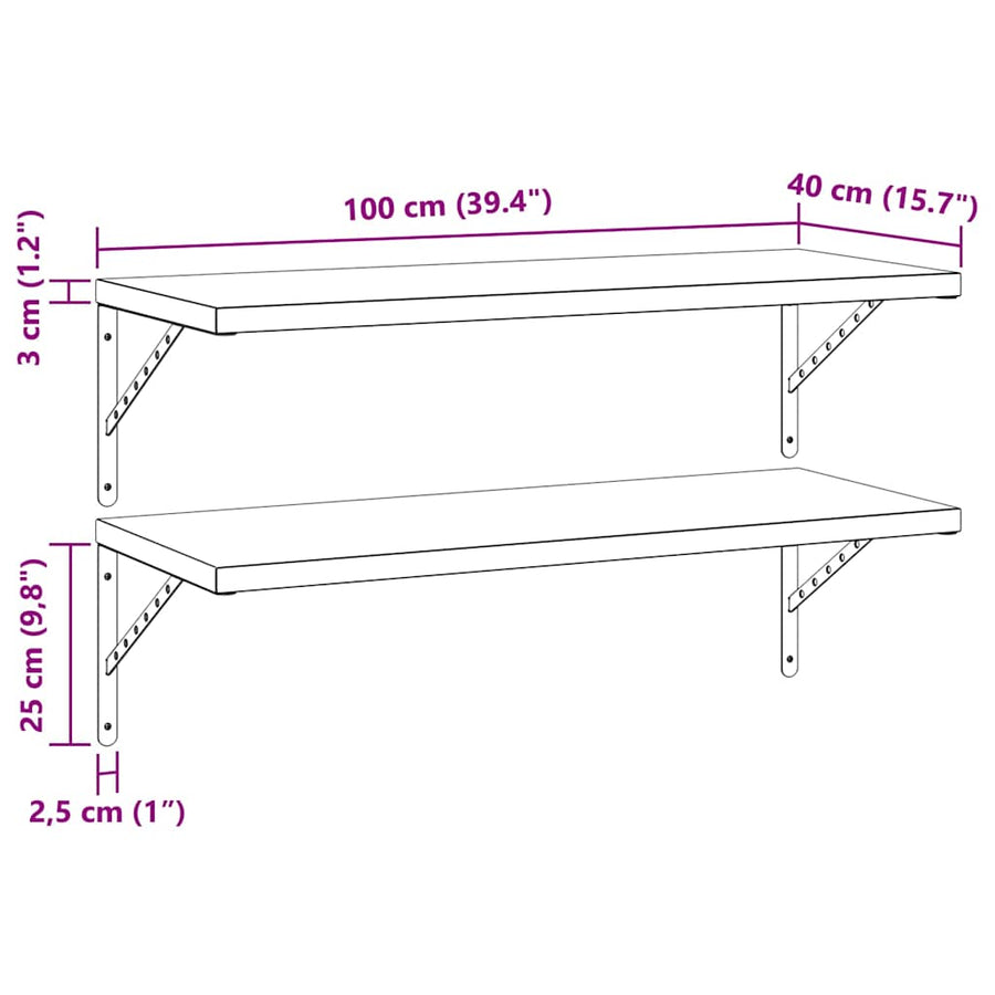 Wandschappen 2 St Roestvrijstaal 100 x 40 cm Zwart