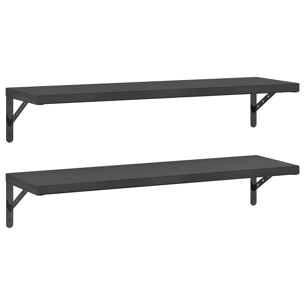 Wandschappen 2 St Roestvrijstaal 100 x 30 cm Zwart