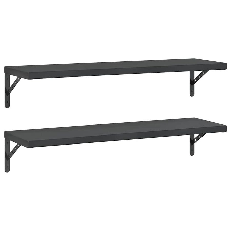 Wandschappen 2 St Roestvrijstaal 100 x 30 cm Zwart