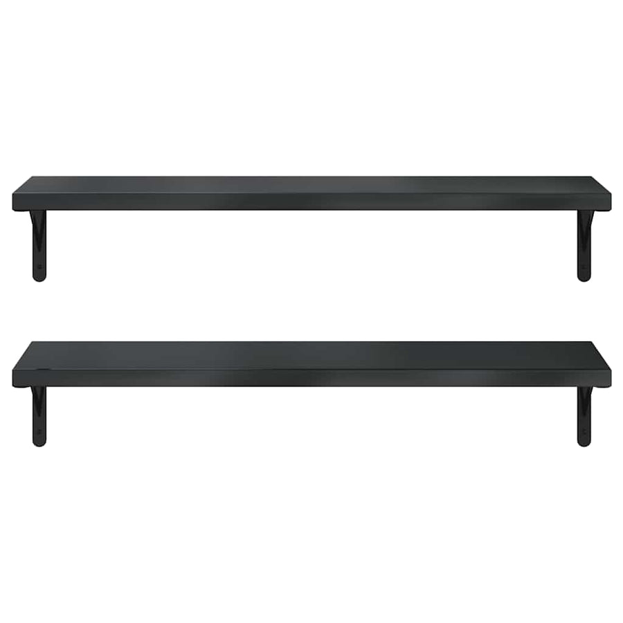 Wandschappen 2 St Roestvrijstaal 100 x 30 cm Zwart