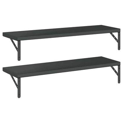 Wandschappen 2 St Roestvrijstaal 100 x 30 cm Zwart