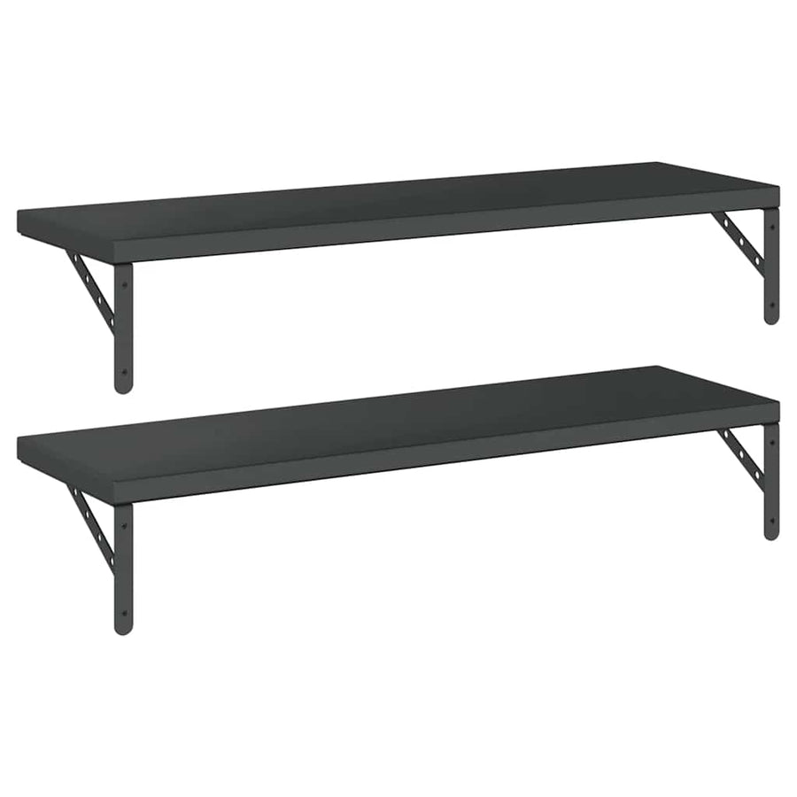 Wandschappen 2 St Roestvrijstaal 100 x 30 cm Zwart