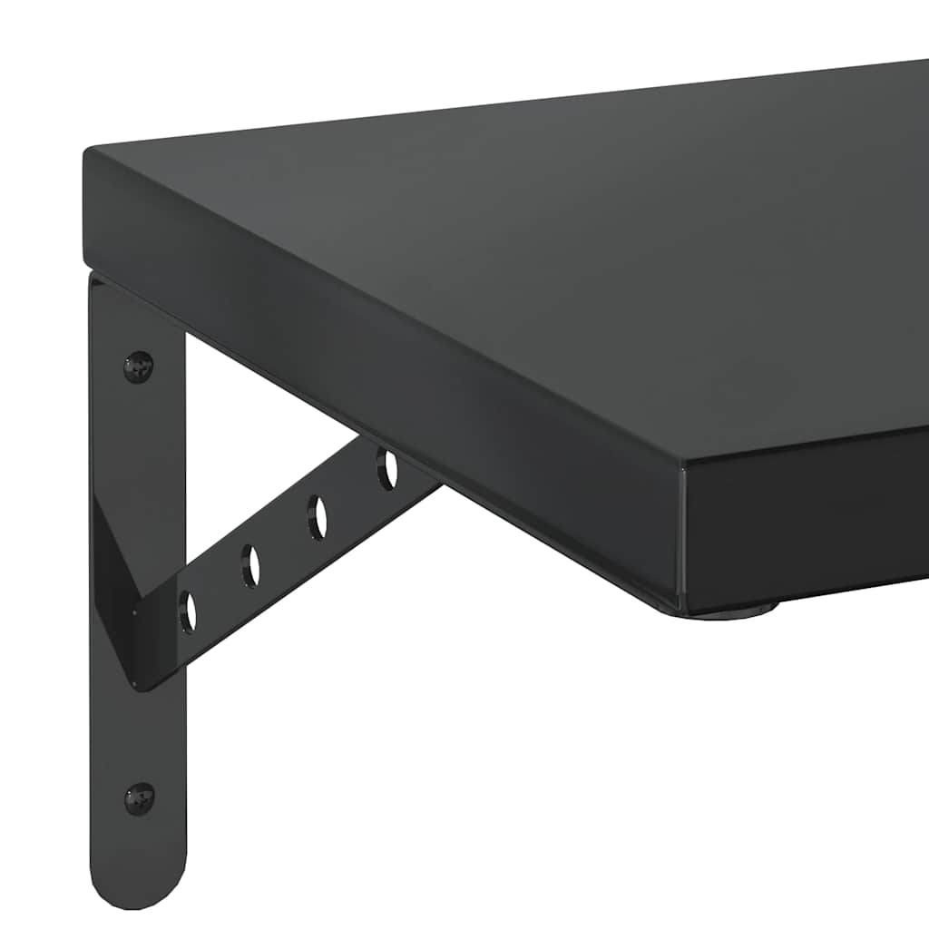 Wandschappen 2 St Roestvrijstaal 100 x 30 cm Zwart