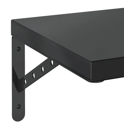 Wandschappen 2 St Roestvrijstaal 100 x 30 cm Zwart