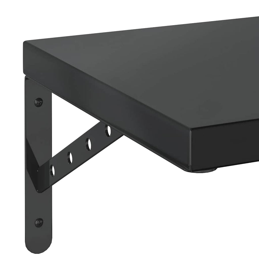 Wandschappen 2 St Roestvrijstaal 100 x 30 cm Zwart