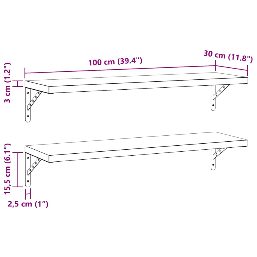 Wandschappen 2 St Roestvrijstaal 100 x 30 cm Zwart