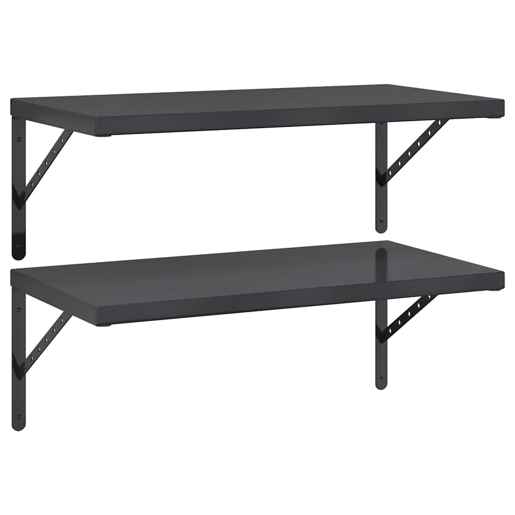Wandschappen 2 St Roestvrijstaal 75 x 40 cm Zwart