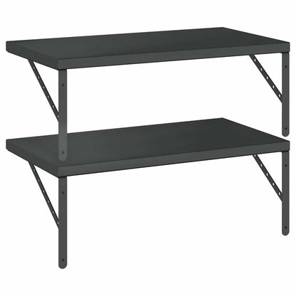 Wandschappen 2 St Roestvrijstaal 75 x 40 cm Zwart
