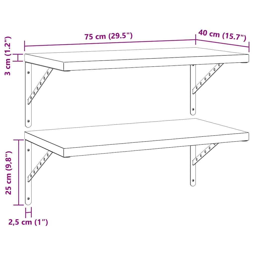 Wandschappen 2 St Roestvrijstaal 75 x 40 cm Zwart