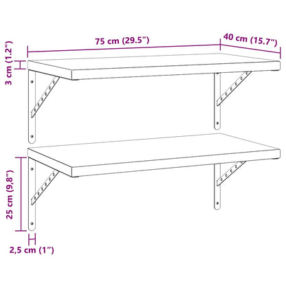 Wandschappen 2 St Roestvrijstaal 75 x 40 cm Zwart