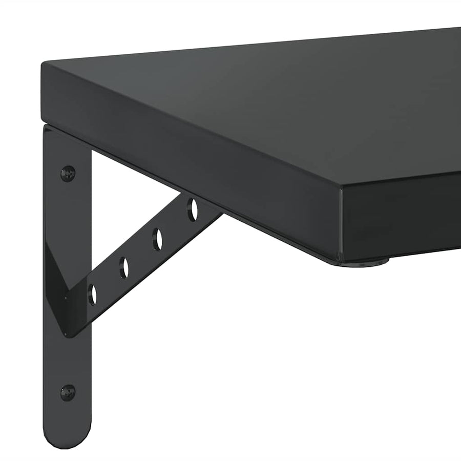 Wandschappen 2 St Roestvrijstaal 50 x 30 cm Zwart